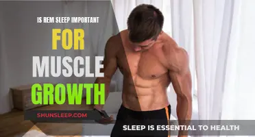 REM Sleep: Essential for Muscle Growth and Repair