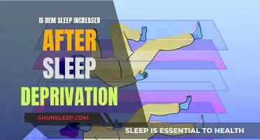 Sleep Deprivation: The REM Sleep Recovery Process Explained