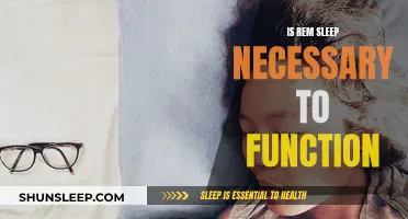 The Importance of REM Sleep for Daily Functioning