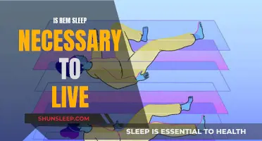 The Importance of REM Sleep for Survival