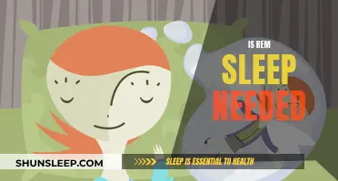 The Myth of REM Sleep: Is It Necessary?