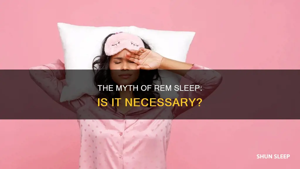 is rem sleep needed