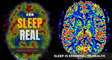 REM Sleep: Myth or Reality?