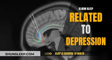 Exploring the Link Between REM Sleep and Depression