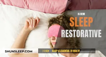 REM Sleep: Restoring Body and Mind