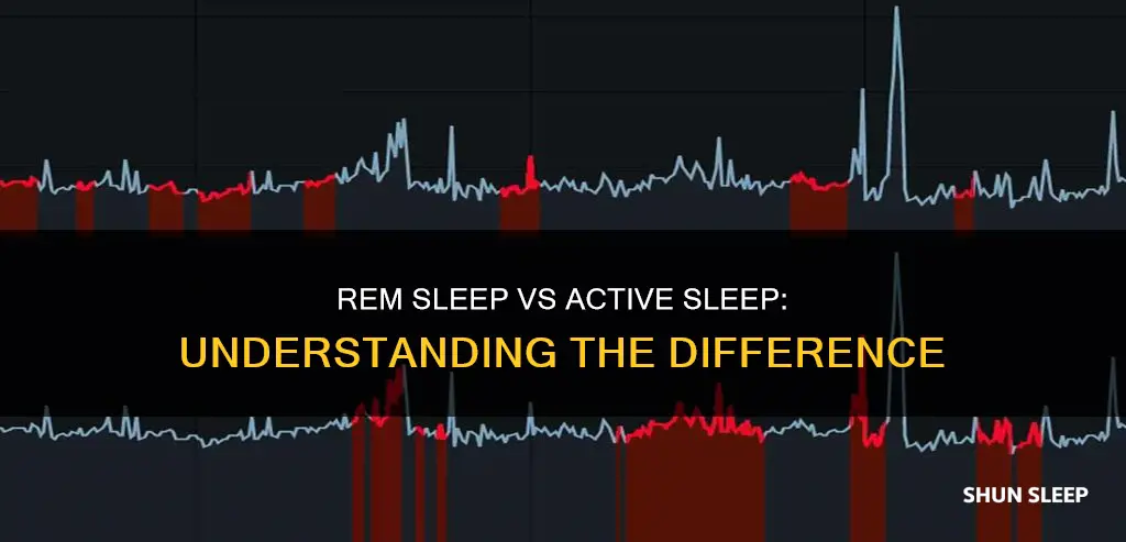 is rem sleep same as active sleep