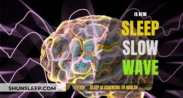 REM Sleep and Slow Waves: What's the Connection?