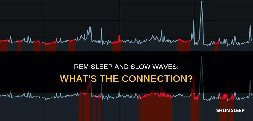 is rem sleep slow wave