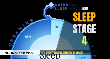 REM Sleep: Fourth Stage of Sleep Cycle