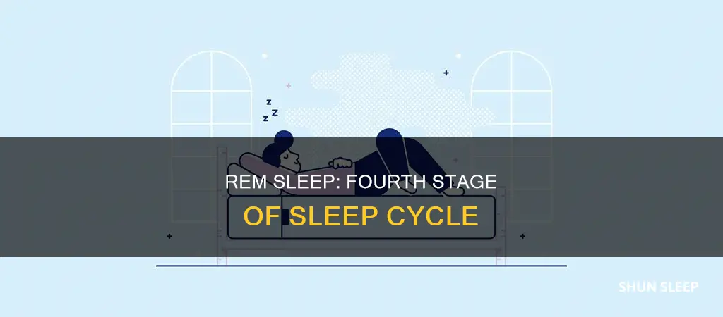 is rem sleep stage 4