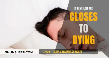 What Happens During REM Sleep and Death?