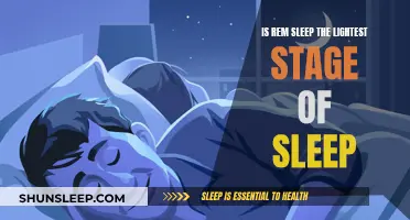 REM Sleep: Lightest Stage or Deep Sleep's Cousin?