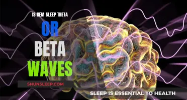 Theta and Beta Waves During REM Sleep: What's the Difference?