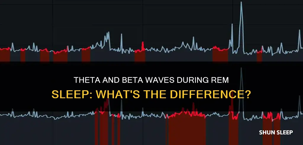 is rem sleep theta or beta waves