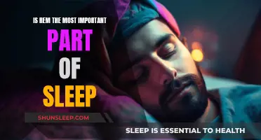 Understanding REM Sleep: The Most Vital Sleep Phase