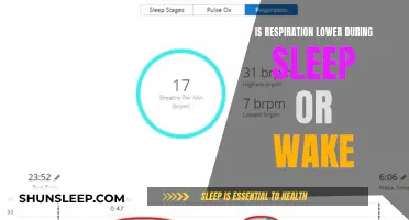 Respiratory Rhythm: Unveiling Sleep's Impact on Breaths