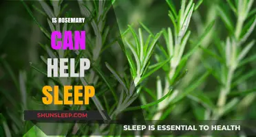 Rosemary for Sleep: Unlocking Its Potential Benefits and Effects