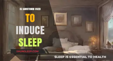 How Serotonin Affects Sleep and Dreams