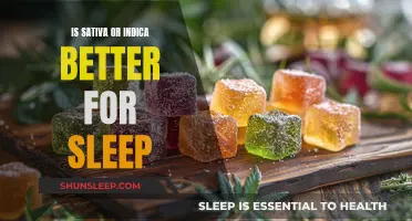 Sativa vs Indica: Which Strain Lulls You to Sleep?