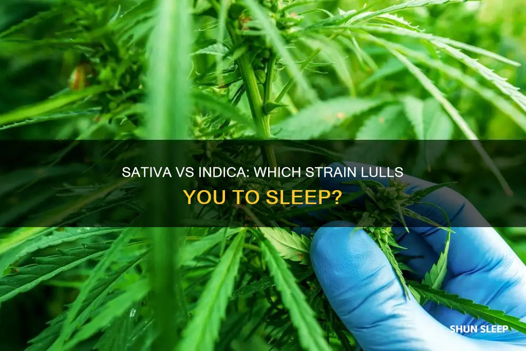 is sativa or indica better for sleep
