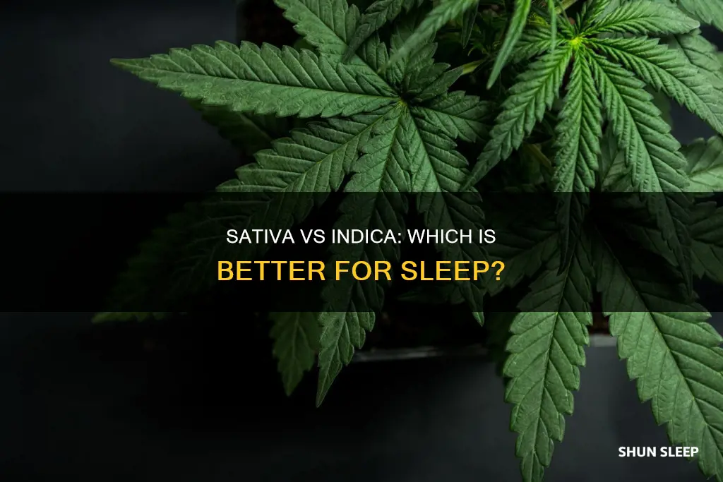 is sativa or indiva better fpr sleeping