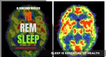 Serotonin's Role in REM Sleep: Understanding the Connection