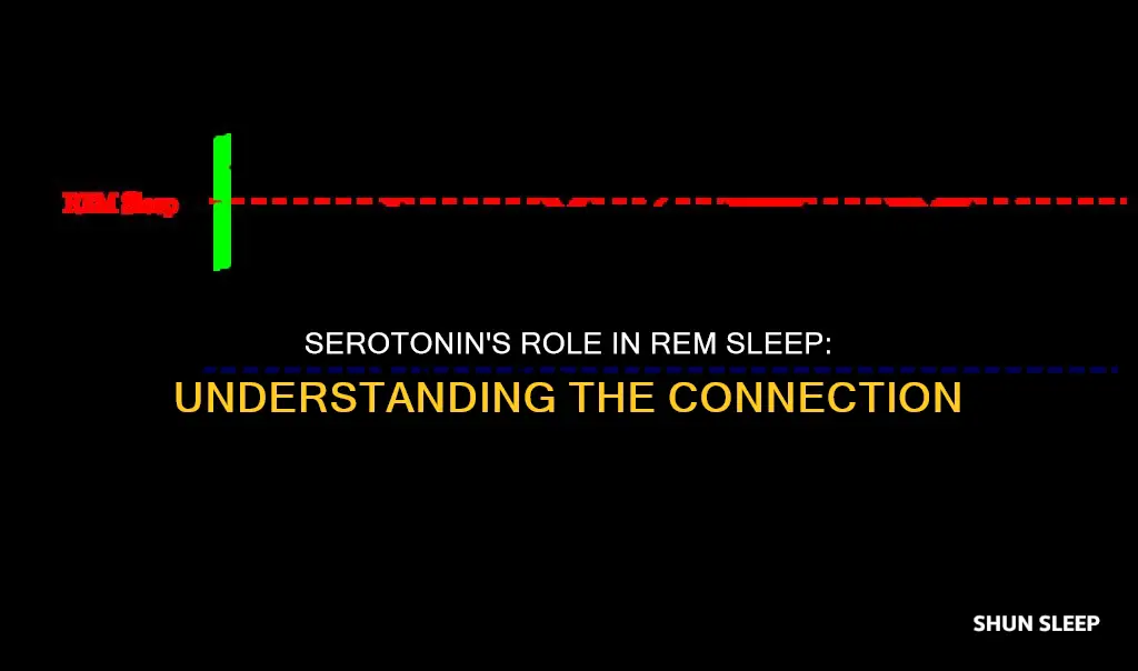 is serotonin involved in rem sleep