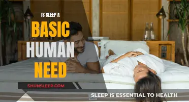 Sleep: Exploring Its Vital Role in Our Lives