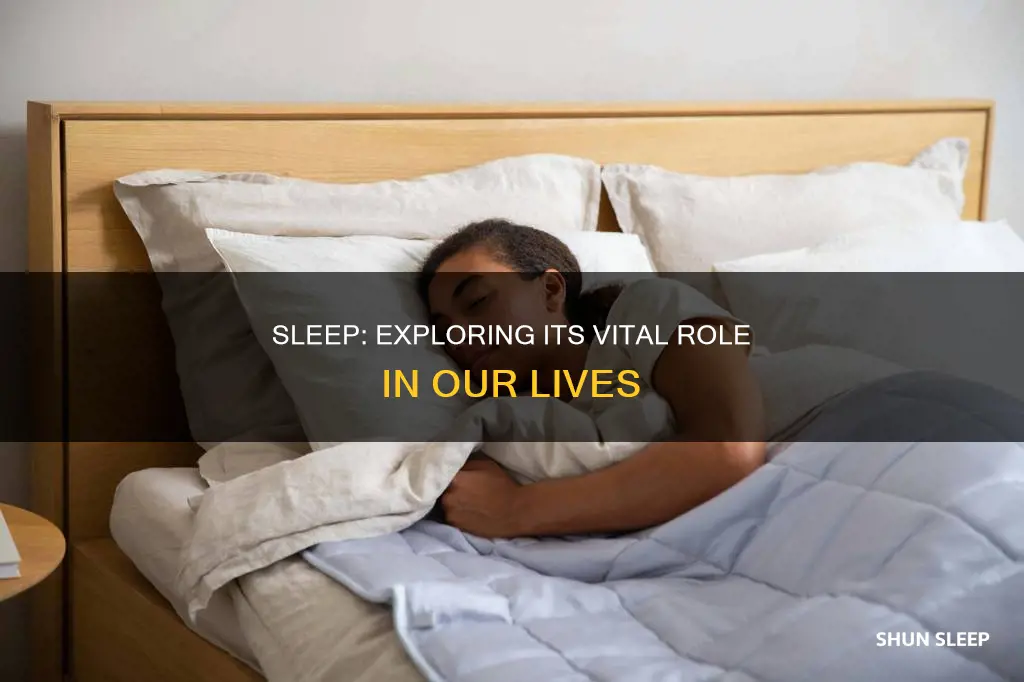 is sleep a basic human need