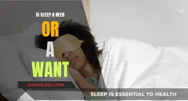 Sleep: Essential Need or Luxurious Want?