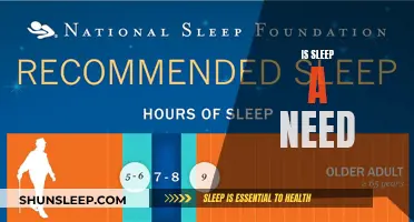 Sleep: Essential Need or Waste of Time?