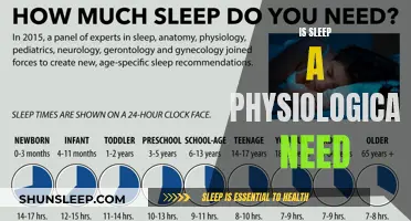 Sleep: Exploring its Place in Human Physiology