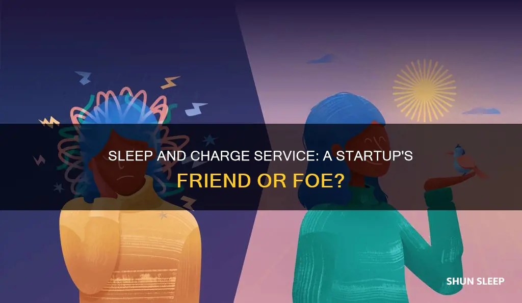 is sleep and charge service needed at startup