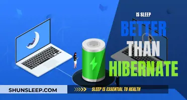 Sleep vs. Hibernate: Which is the Better Option?