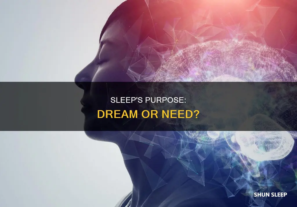 is sleep just a need to dream