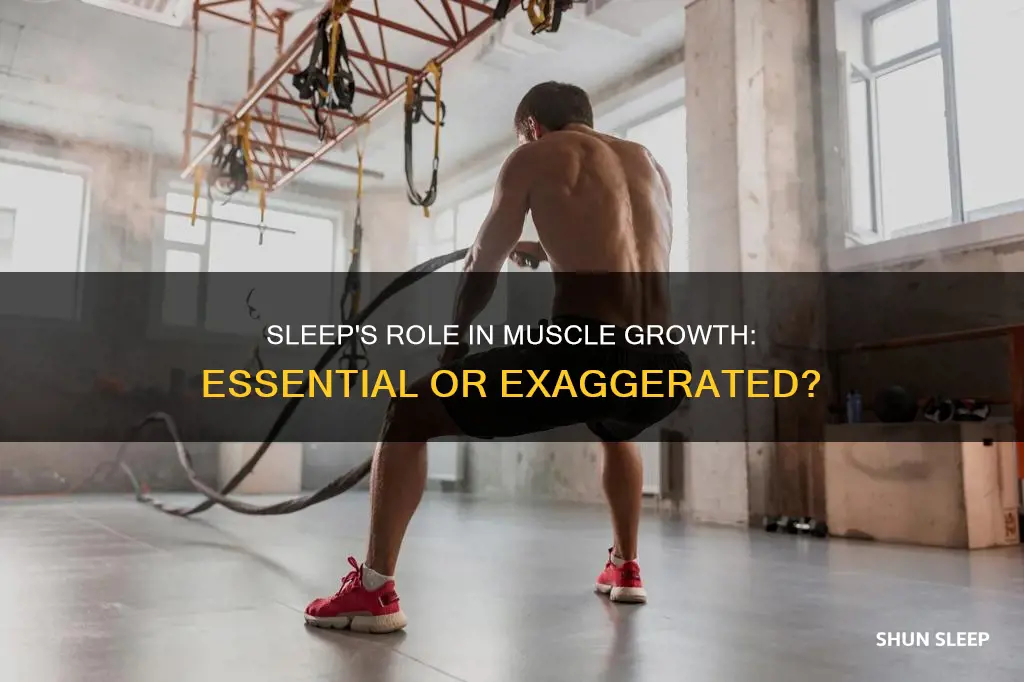 is sleep needed for muscle growth