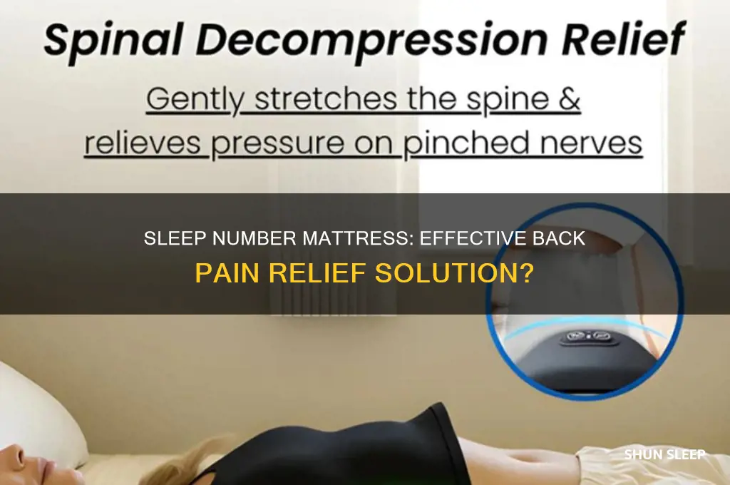 is sleep number a matress that helps with back pain