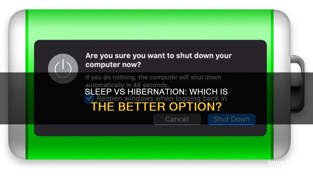 is sleep or hibernation better