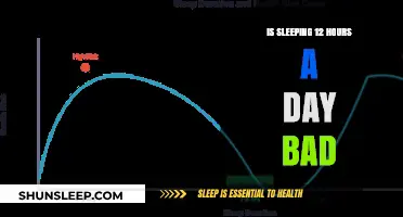The Impact of Excessive Sleep: Is 12 Hours a Day Too Much?