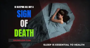 Sleeping All Day: A Sign of Death or Something Else?