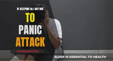 Panic Attacks: Sleeping Through the Day, Not by Choice