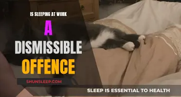 Sleeping at Work: Grounds for Dismissal or Not?