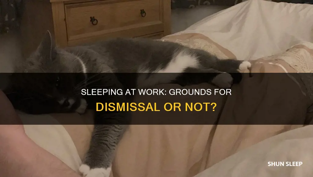 is sleeping at work a dismissible offence