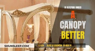 Canopy Sleeping: Better Rest or Just a Fad?