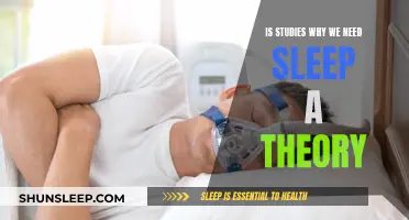 Why Sleep? Exploring the Science Behind Sleep Studies