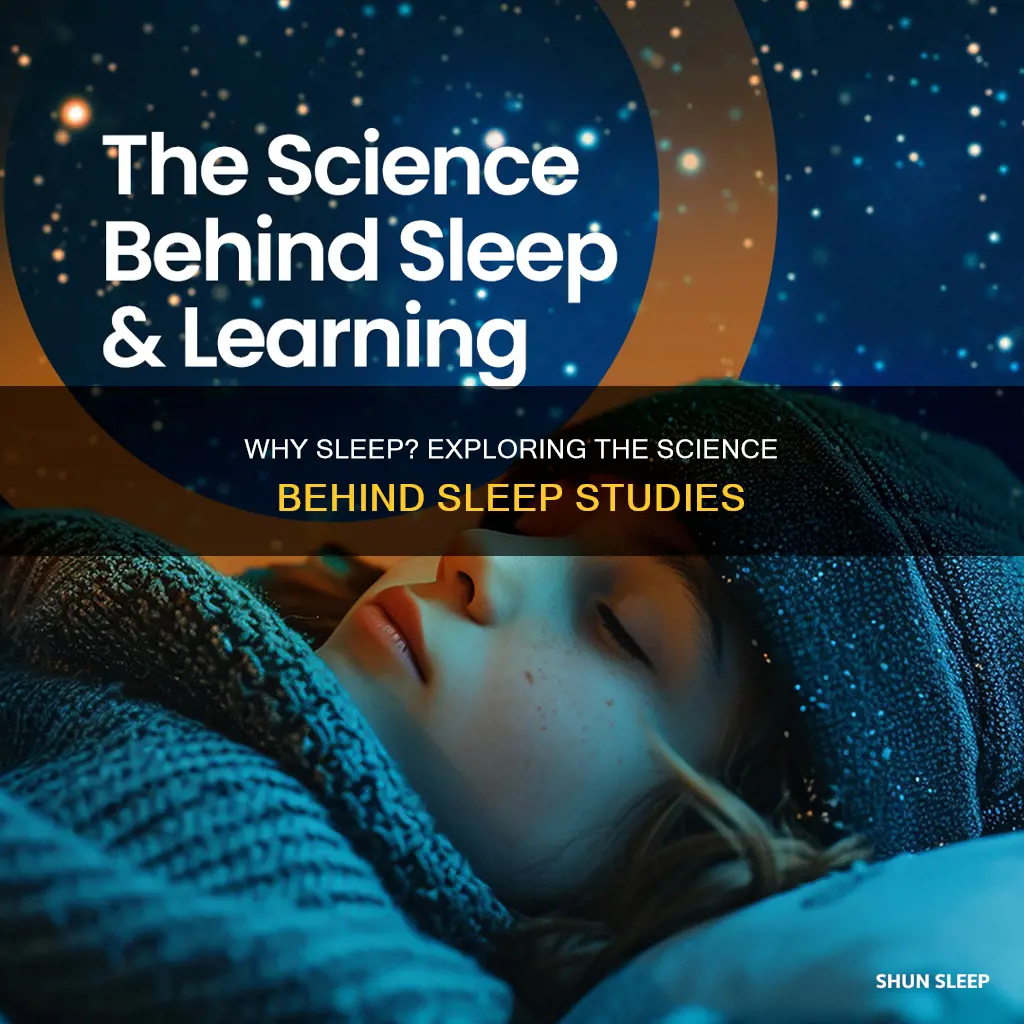 is studies why we need sleep a theory