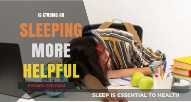 Studying vs. Sleeping: Which Boosts Productivity and Well-Being More?