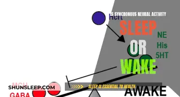 Synchronous Neural Activity: Sleep or Wakefulness?