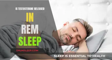 Testosterone and REM Sleep: What's the Connection?