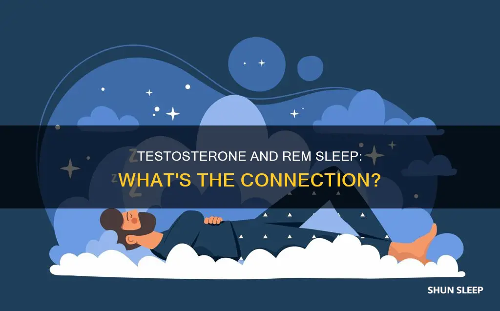 is testosterone released in rem sleep